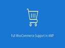 Плагин Amp Woocommerce Pro