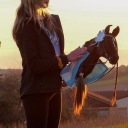 Реалістична HOBBY HORSE – BAY PIE Конячка на палиці А4