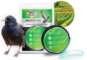 BIRD TAPE NO PEST SOUND ОТПУСКАТЕЛЬ ДЛЯ ПТИЦ, СМОТРИТЕЛЕЙ, ВОРОН 30 МБ