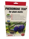 Pheromone trap for plum moths