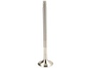 FRECCIA R6731/BM SOUPAPE ÉCHAPPEMENTphoto 1