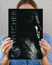 Ведьмак The Witcher Shadows - постер 40х50 см