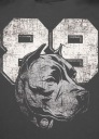 МУЖСКАЯ ФУТБОЛКА PIT BULL ПОВСЕДНЕВНАЯ СПОРТИВНАЯ ФУТБОЛКА PITBULL