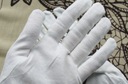 Kozmetické rukavice DNC biele EAN (GTIN) 4751006755031