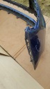 PARE-CHOCS AVANT CITROEN C4 PICASSO II 2 LIFT 2016-20 99890651 BLEU PDCphoto 16