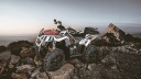 CASE TESSERACT REAR POLARIS SCRAMBLER  photo 7