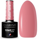 Гибридный лак для ногтей Claresa FALLIN LOVE 2