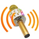 Игрушка микрофона караоке для детей со светодиодным динамиком ECHO Manta Bluetooth