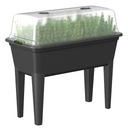 МИНИ-ТЕПЛИЦА ДЛЯ ПОСЕВА ТРАВ для выращивания растений КРУГЛЫЙ ГОД