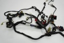 YAMAHA YZF-R6 RJ11 06-07 ПРОВОДКА КОМПЛЕКТ ПРОВОДІВ ГОЛОВНА  (16902807928) фото min 13
