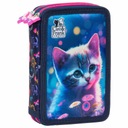 BACKUP DERFORM ДВУХОТДЕЛЕННЫЙ ШКОЛЬНЫЙ ЧЕХОЛ ДЛЯ ОБОРУДОВАНИЯ мелки, фломастеры, КОШКА