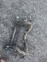 BEAM PRZEDNIA,SANKI ,WOZE PERID MERCEDES-BENZ E W212  photo 5