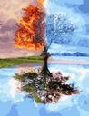 Картина по номерам Четыре сезона 40х50
