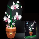 ORCHIDEA CSERÉPBEN ÉPÍTŐKOCKÁK ORCHIDEA VIRÁG Márka márkanév nélkül