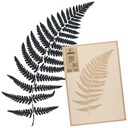 Трафарет для рисования MULTIPLE M 43x64см FRN LEAVES FERN FRN LEAF