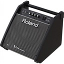 Барабанный монитор Roland PM-100