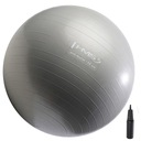 ГИМНАСТИЧЕСКИЙ МЯЧ HMS GRAPHITTE АНТИВЗРЫВ, 55 СМ
