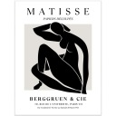 3 x ПОСТЕР 40X50 ART MATISSE ART MODERN АБСТРАКТНЫЕ ЛИСТЬЯ ЦВЕТЫ ЛИСТ