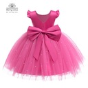 Tiulowa sukienka dla dziewczynek Party Princess