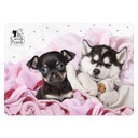 ЛАМИНИРОВАННАЯ ПОДКЛАДКА CLEO AND FRANK 38 (СОБАКА) DERFORM, DERFORM, BS_PLACF38.