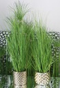 Искусственная трава, искусственное растение H67 Decodemi