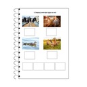 Учебное пособие - животные, сельская местность