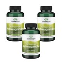 SWANSON ASHWAGANDHA ŽENŠEN ADAPTOGEN PAMÄŤ A KONCENTRÁCIA 450 mg 100k EAN (GTIN) 087614019574