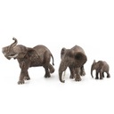 Rôzne druhy zvierat vo voľnej prírode Akčný samec slona Typ nešpecifikovaný