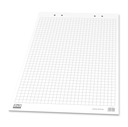 Блокнот для флипчарта 2х3, сетка формата А1/10к