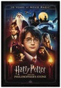 Plakat Harry Potter 20 Years Movie Magic 61x91,5cm Szerokość produktu 61 cm