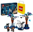 LEGO Harry Potter 76432 Zakazany Las: magiczne stworzenia + Torebka Lego