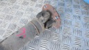 RENAULT KADJAR 1.6 ARBRE DE TRANSMISSION 370004EB0A 15-photo 10