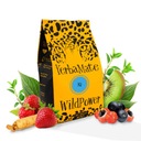YERBA MATE WILD POWER IQ ГУАРАНА ЖЕНЬШЕНЬ КИВИ КЛУБНИКА 400Г