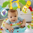 SKOCZEK PRZYJACIELE RAINFOREST FISHER PRICE CHN38 Kod producenta CHN38