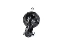 RIDEX 854S0527 AMORTISSEUR GAZEUX ENTRETOISE SUSPENSIONS AVANT LEWOphoto 10