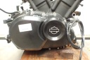 HARLEY DAVIDSON STREET ROD 750 ДВИГУН 7992 KM ВІДЕО  (18890925741) фото min 10