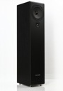 Напольные громкоговорители Pylon Audio Opal 20, черные