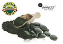 Aliness Spirulina Pacyfica НАТУРАЛЬНЫЕ ВОДОРОСЛИ VEGE 180