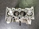 VW AUDI 2.0 FSI BLR PARTE INFERIOR DEL MOTOR POR RENOVACIÓN 