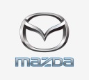 НАТЯГУВАЧ РЕМНЯ FORD 1.8 D/TD  фото 10