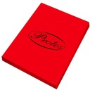 БУМАГА А4 КОПИРАЛЬНАЯ БУМАГА Protos 100 листов 80г КРАСНАЯ