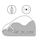 МУЖСКОЙ МАСТУРБАТОР, искусственная вагина, задница, анал