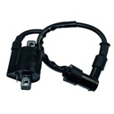 КАТУШКА ЗАЖИГАНИЯ ATV Quad 110ccm + трубка FMB/FMH