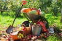 PLANTA Garden Soil Растительная почва для овощей | БЕСПЛАТНАЯ ЭЛЕКТРОННАЯ КНИГА |