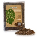 IMSOIL Earth посвящена MONSTERA 10L
