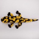 Salamandra čierno-žltá 40 cm Kód výrobcu 5704951881439