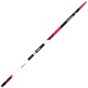 Беговые лыжи Delta Sport R-Skin.. r:201 Rossignol