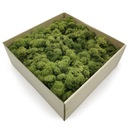 500 г чистого очищенного оленьего мха