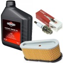 МАСЛО ВОЗДУШНЫЙ ФИЛЬТР 1,4 Л BRIGGS 12 – 15 КМ + ПРОБКА