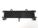 НОВА РАДІАТОР МАСТИЛА YAMAHA XJR1300 XJR 1300 РОКИ 99-13R  (17295202895) фото min 8